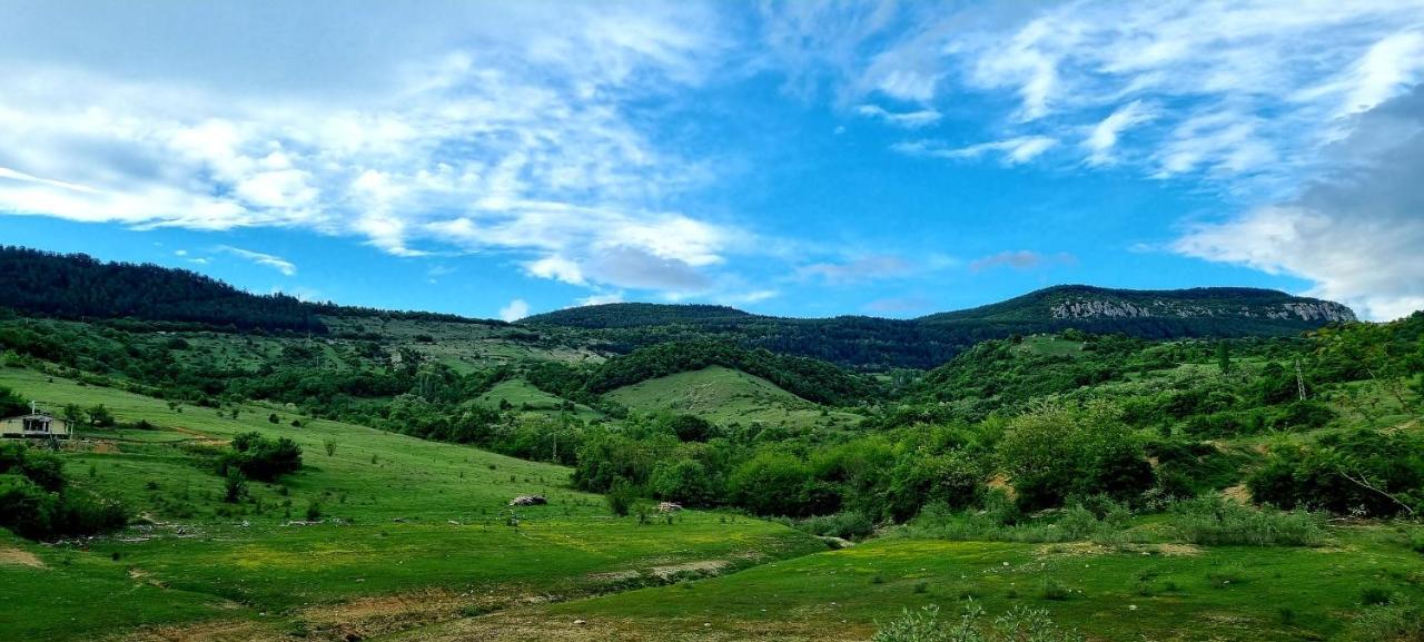 Villa Eskici Staro Myasto 외부 사진