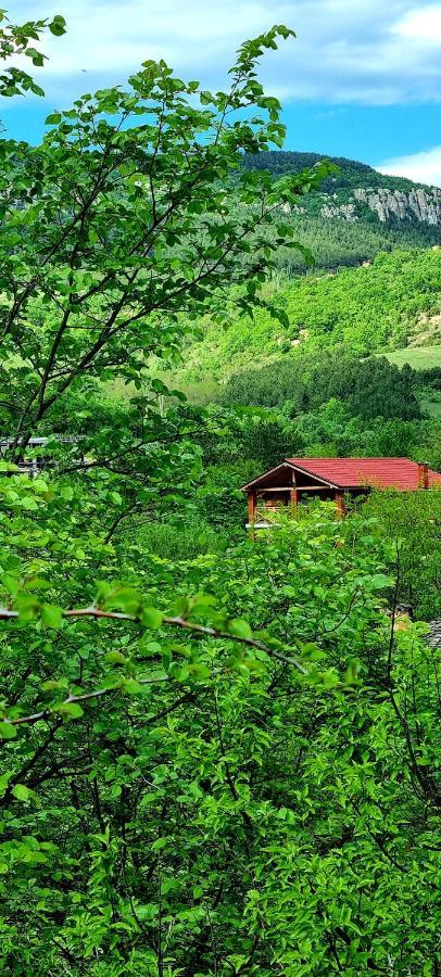 Villa Eskici Staro Myasto 외부 사진
